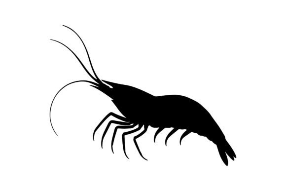 Ghost Shrimp Silhouette Vector Clipart Review